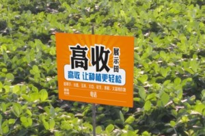  阿尔特塔轮换策略收奇效  